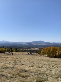 Scenic view of field against clear blue sky