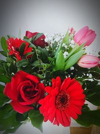 Close-up of red roses blooming outdoors