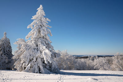 Panoramic landscape image of kahler asten during wintertime, sauerland, germany