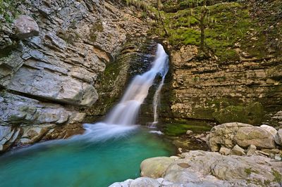 Scenic view of waterfall in forest