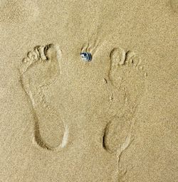 Footprints on sandy beach