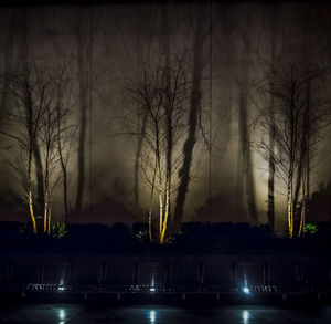 Silhouette bare trees by lake against sky at night