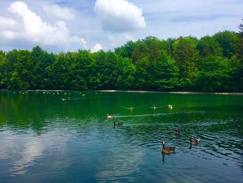 Scenic view of lake