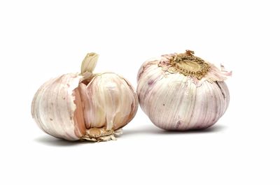 Close-up of pumpkins against white background