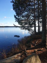 Scenic view of lake in forest against sky