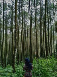 Girl in the forest 