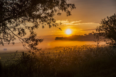 Scenic view of sunset