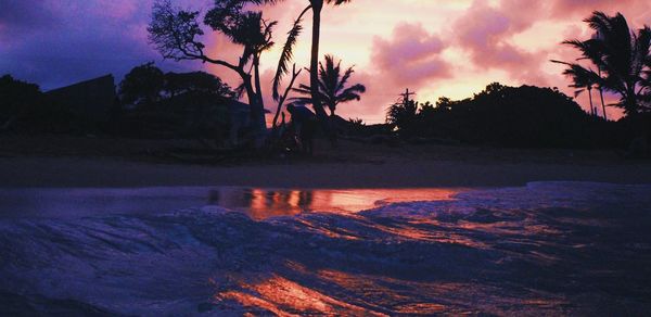 Silhouette of trees at sunset