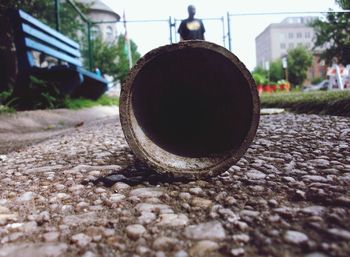 Close-up of surface level of leaf