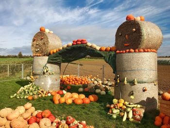 Pumpkins on field against sky