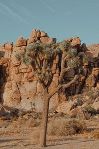 Rock formations on mountain against sky