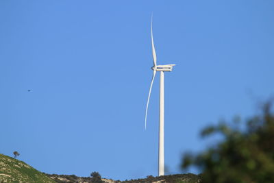 environmental conservation