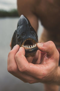 Close-up of man holding fish