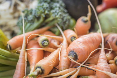 Close-up of vegetables