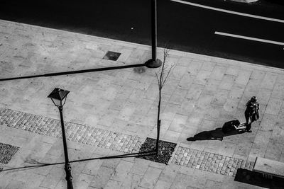 Shadow of tree on the wall