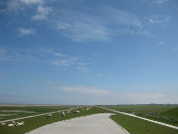 Empty road amidst field against sky