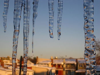 Close-up of icicles against clear sky