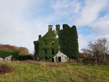 Ruine in galway