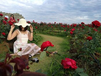 Red flowers on field against sky