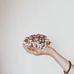 Close-up of hand over white background