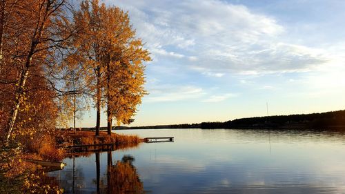 Reflection of trees in calm lake