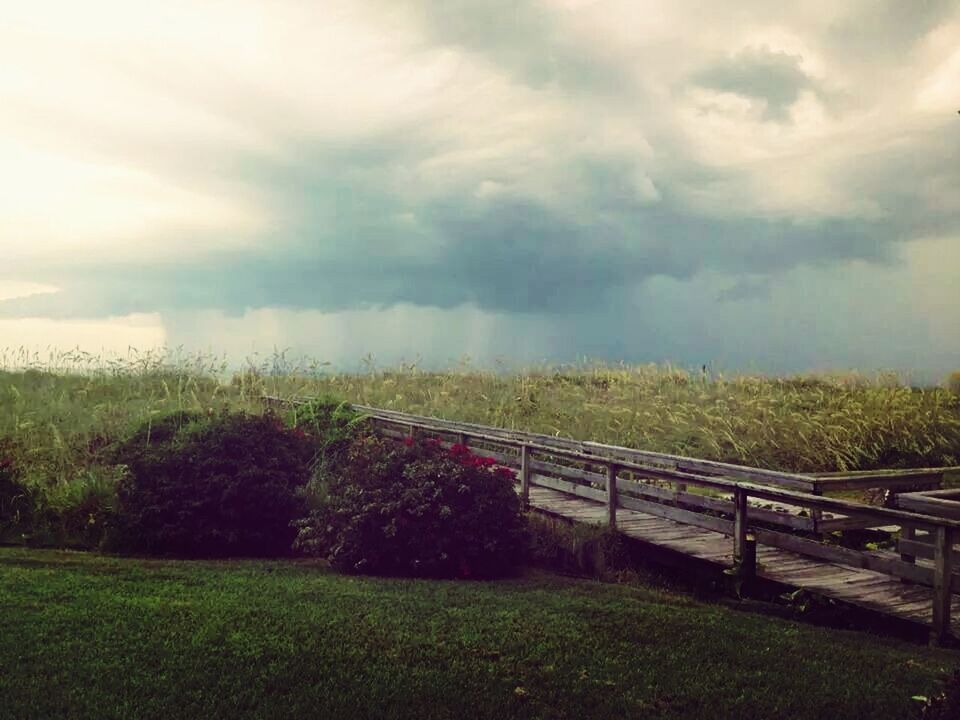 sky, grass, cloud - sky, tranquil scene, field, landscape, tranquility, cloudy, beauty in nature, nature, scenics, growth, green color, fence, grassy, tree, cloud, weather, plant, overcast