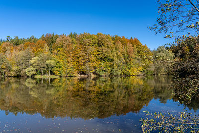 Trees by lake against sky during autumn