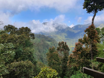 Scenic view of trees and mountains against sky