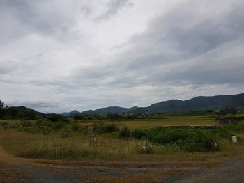 Scenic view of field against sky