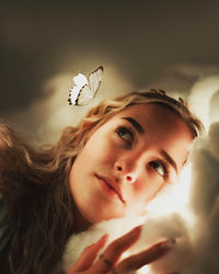 butterfly