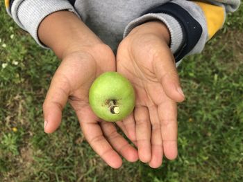 High angle view of hand holding apple