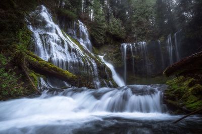 Scenic view of waterfall in forest