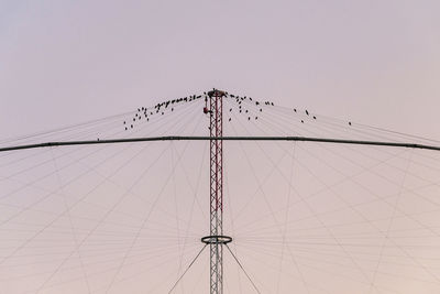 Low angle view of chain swing ride against clear sky