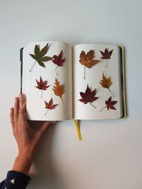 Cropped hand of woman arranging autumn leaves on book over white background