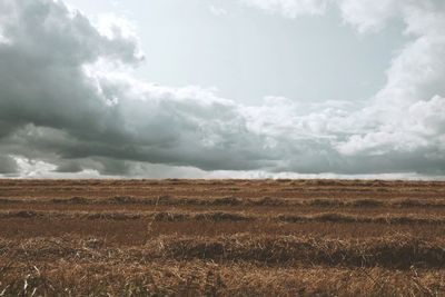 Scenic view of field against sky