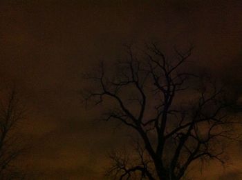 Low angle view of bare trees against sky at sunset