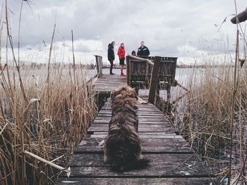 View of pier over sea