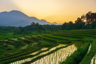 Beautiful morning view indonesia panorama landscape with beauty color and sky natural light