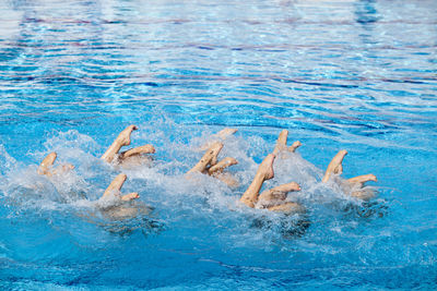 Low section of people swimming in pool