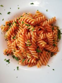 High angle view of chopped vegetables in plate