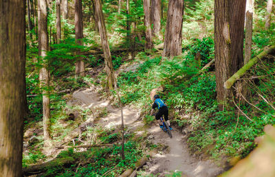 Woman riding bicycle in forest