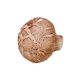 High angle view of bread against white background