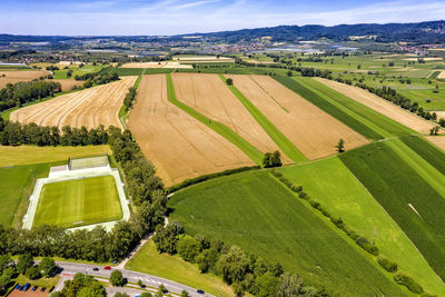 High angle view of agricultural field