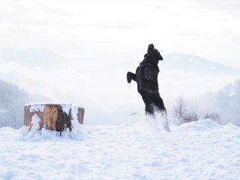 Man jumping on snow covered mountain against sky