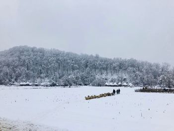 Scenic view of snow covered field against sky