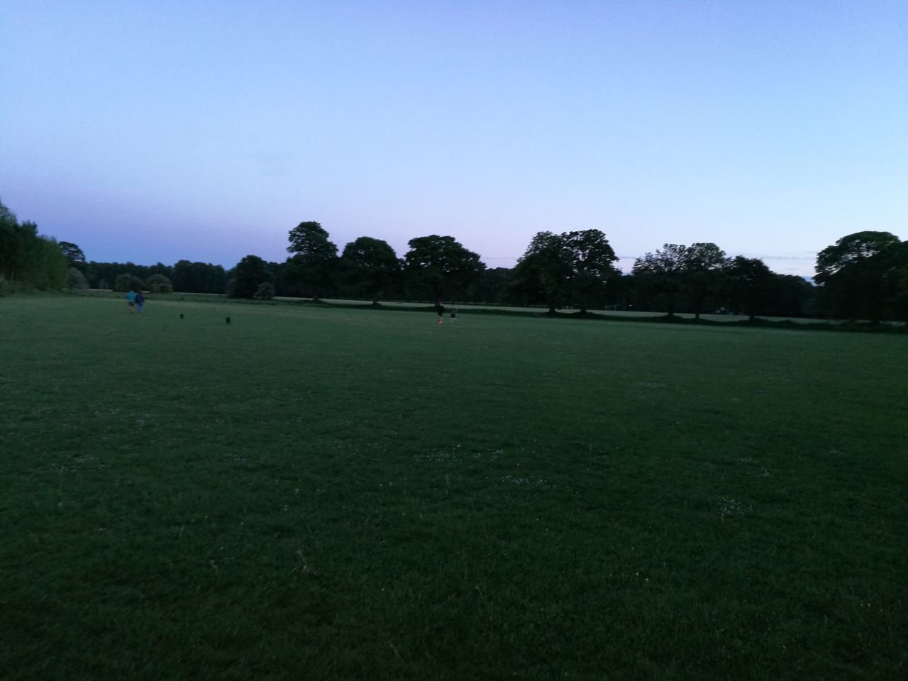 grass, nature, green color, field, tree, tranquility, beauty in nature, landscape, clear sky, sport, tranquil scene, scenics, playing field, growth, outdoors, no people, day, golf, golf course, green - golf course, sky, soccer field