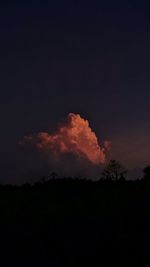 Low angle view of silhouette trees against sky at sunset