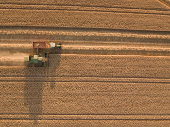 Scenic view of agricultural field