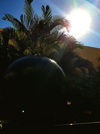 Low angle view of palm tree against sky