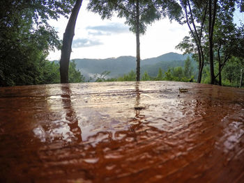 Surface level of wet land against sky